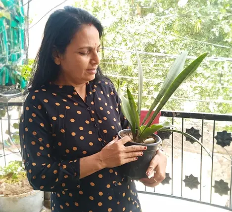 Seema Mehrotra Seema Mehrotra