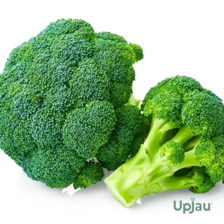 F1 Hybrid Broccoli Seeds