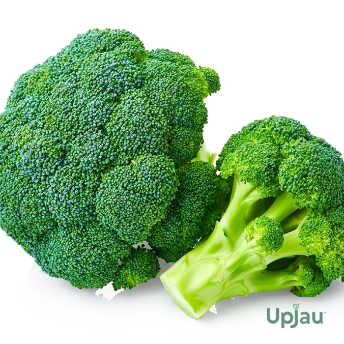 F1 Hybrid Broccoli Seeds