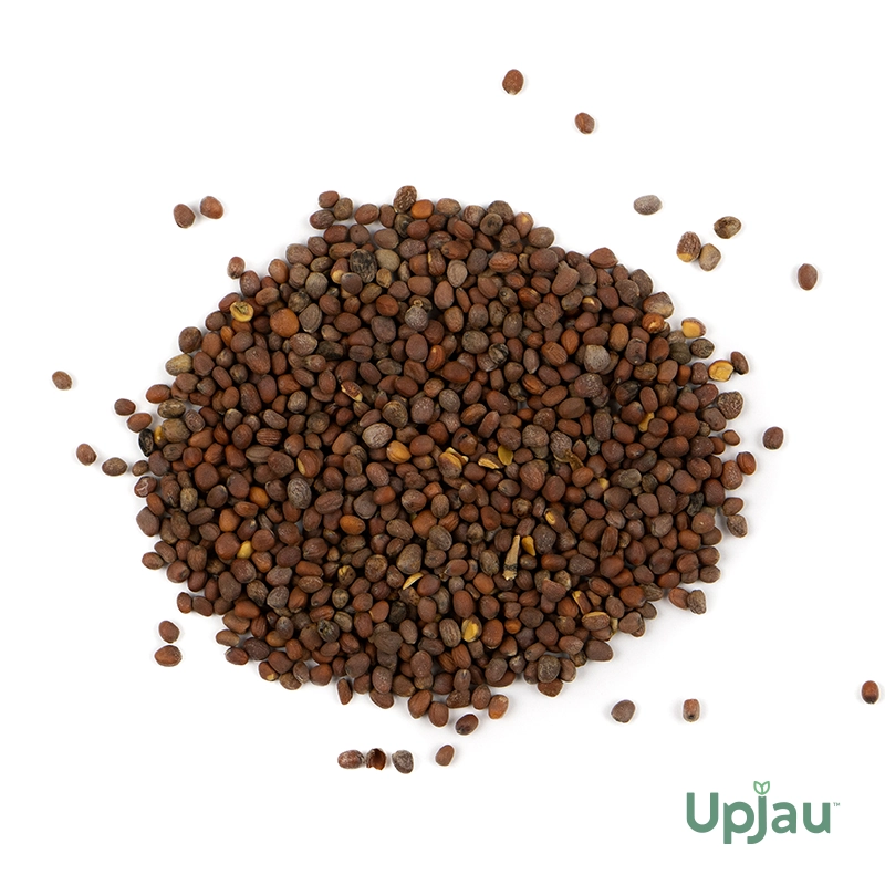 Broccoli Seeds F1 Hybrid (20 seeds) - Image 2