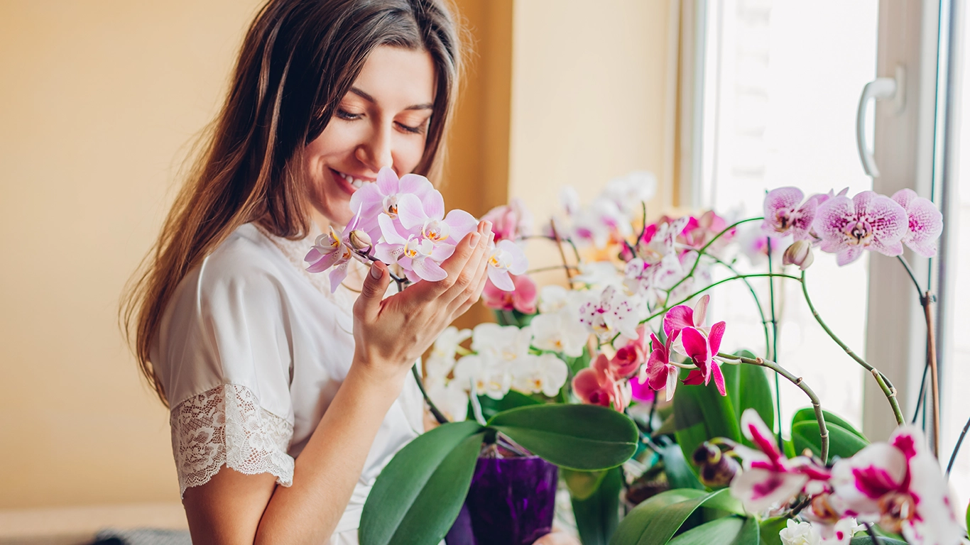 Sun-Ready Orchids: How to Keep Your Blooms Beautiful in Summer’s Heat