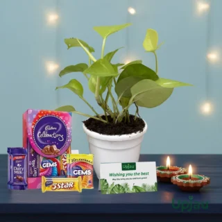 Diwali Gift Box- Golden Money With Card