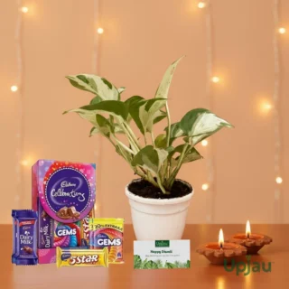Diwali Gift Box- Marble Money Plant With Card