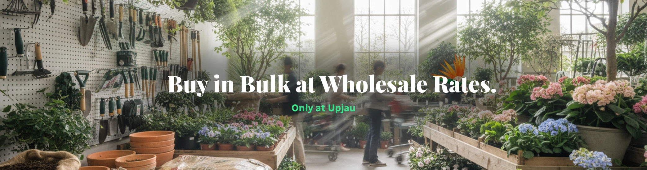 Buy in bulk at wholesale rates