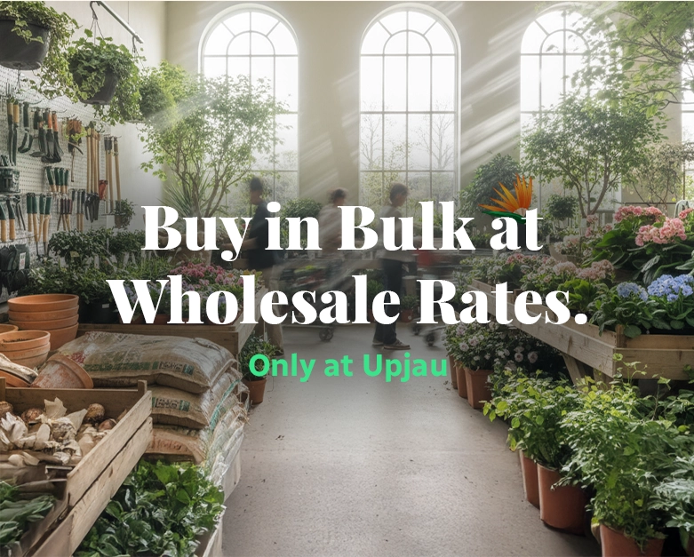 Bulk orders hero banner